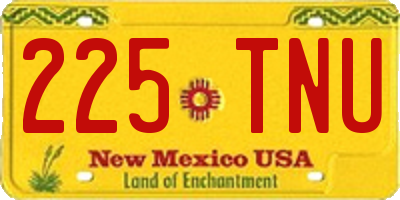 NM license plate 225TNU