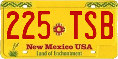 NM license plate 225TSB