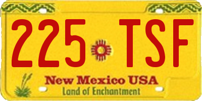 NM license plate 225TSF