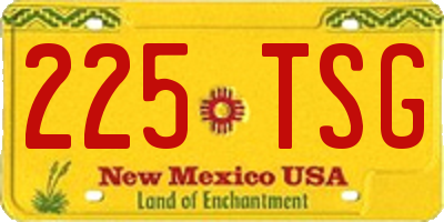 NM license plate 225TSG