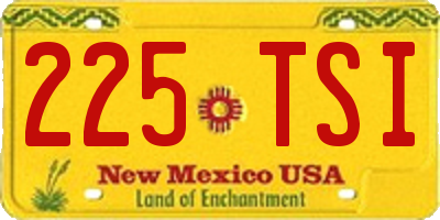 NM license plate 225TSI