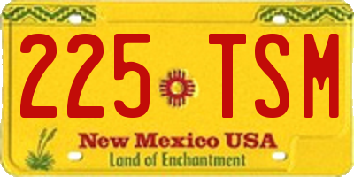 NM license plate 225TSM