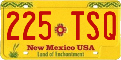 NM license plate 225TSQ