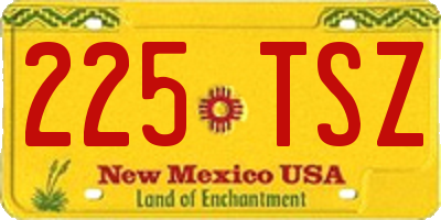 NM license plate 225TSZ