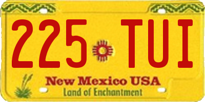 NM license plate 225TUI