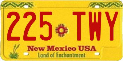 NM license plate 225TWY