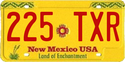 NM license plate 225TXR