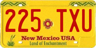 NM license plate 225TXU
