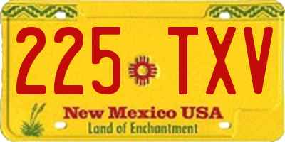 NM license plate 225TXV