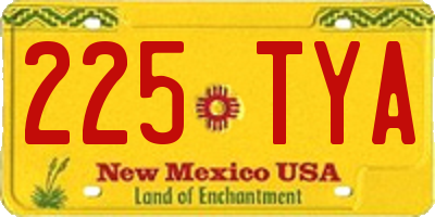 NM license plate 225TYA