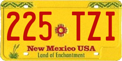 NM license plate 225TZI