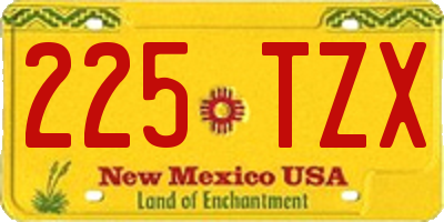 NM license plate 225TZX