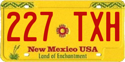 NM license plate 227TXH