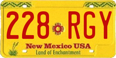NM license plate 228RGY