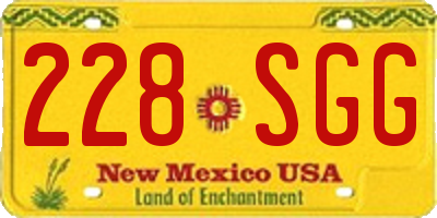 NM license plate 228SGG