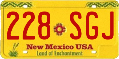 NM license plate 228SGJ