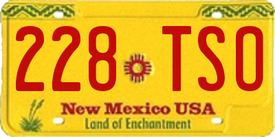 NM license plate 228TSO