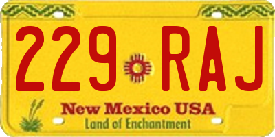 NM license plate 229RAJ