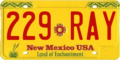 NM license plate 229RAY