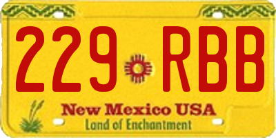 NM license plate 229RBB