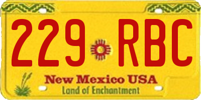 NM license plate 229RBC