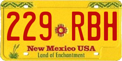 NM license plate 229RBH