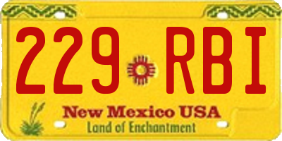 NM license plate 229RBI