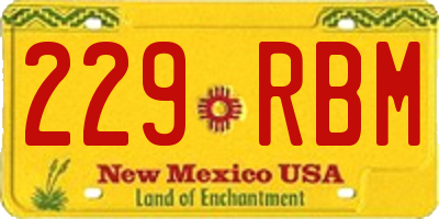 NM license plate 229RBM