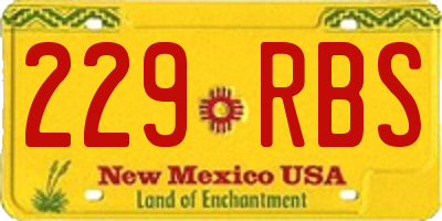 NM license plate 229RBS