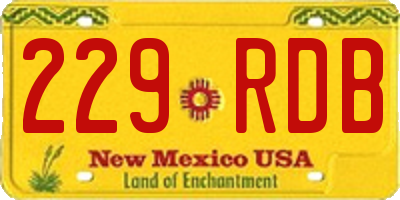 NM license plate 229RDB