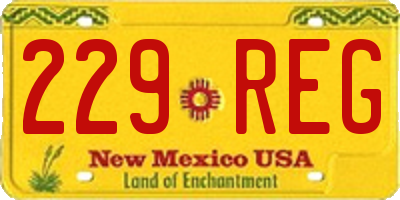 NM license plate 229REG