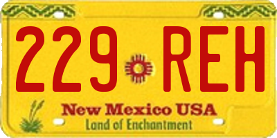 NM license plate 229REH