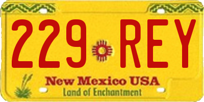 NM license plate 229REY