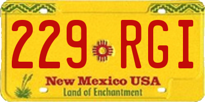 NM license plate 229RGI