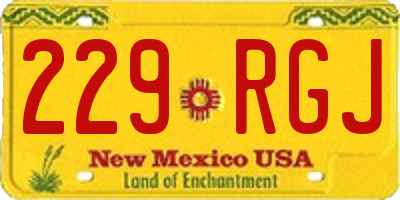 NM license plate 229RGJ