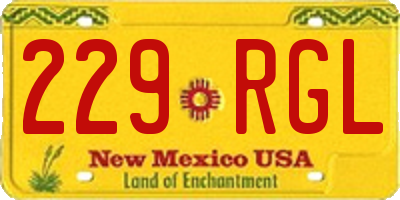 NM license plate 229RGL
