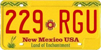 NM license plate 229RGU