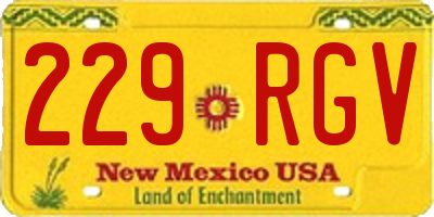 NM license plate 229RGV