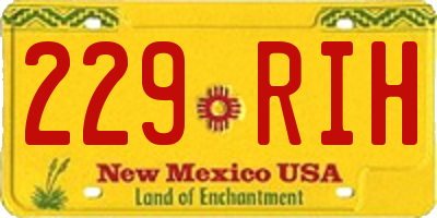 NM license plate 229RIH
