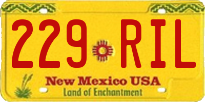 NM license plate 229RIL