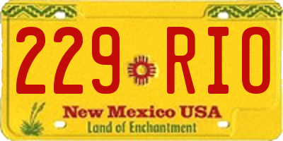 NM license plate 229RIO
