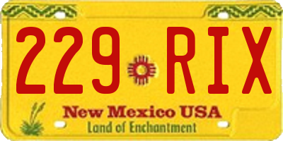NM license plate 229RIX