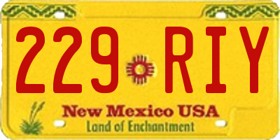 NM license plate 229RIY