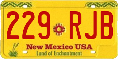 NM license plate 229RJB