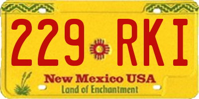 NM license plate 229RKI