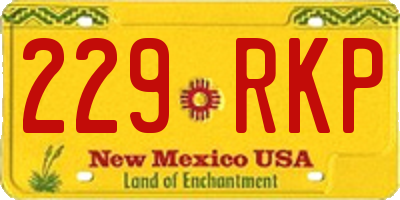 NM license plate 229RKP