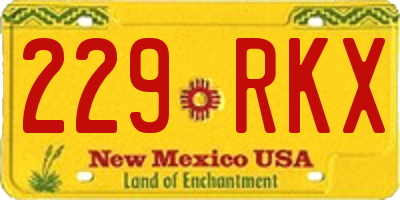 NM license plate 229RKX