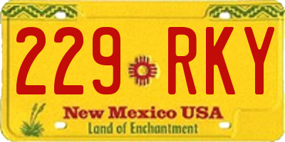 NM license plate 229RKY