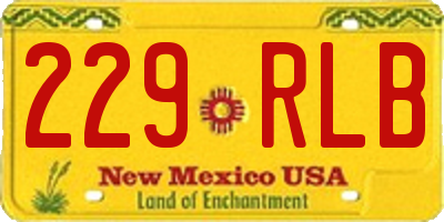 NM license plate 229RLB