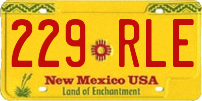 NM license plate 229RLE